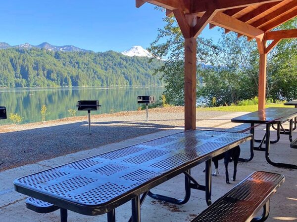 Lake Shannon Day Use Area 2